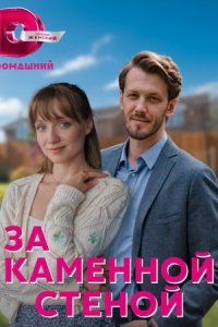 Обложка За каменной стеной сериалу