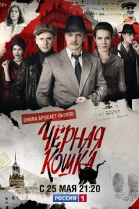 постер  сериала Чёрная кошка