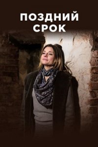 постер  сериала Поздний срок