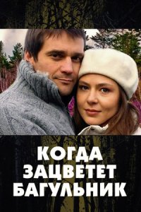 постер  сериала Когда Зацветёт Багульник